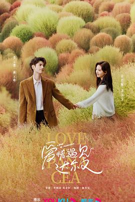 娱乐网站怎么优化好